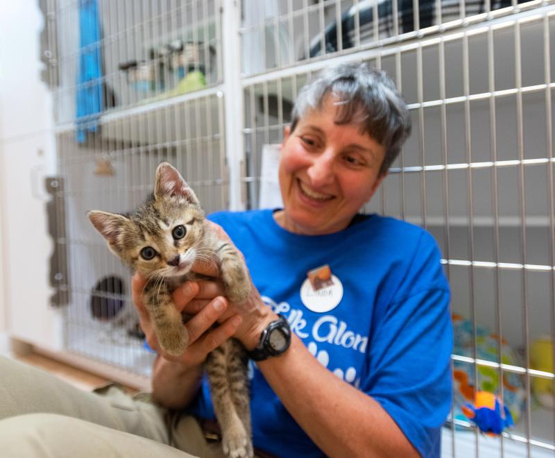 Smiling person holding a tiny kitten in a veterinary clinic setting