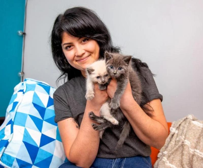 woman holding two kittens