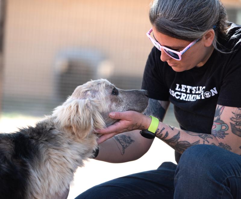 Huckleberry the puppy receiving a pet from a caregiver