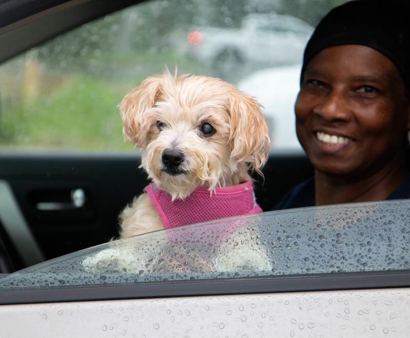 Smiling person with a small dog wearing a pink bandanna in a vehicle