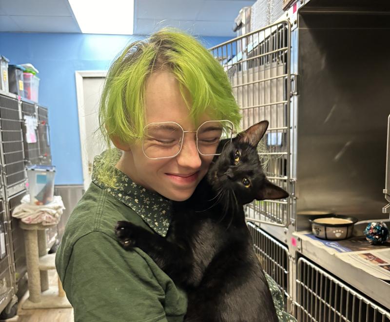 Person cuddling with a black cat outside of some kennels