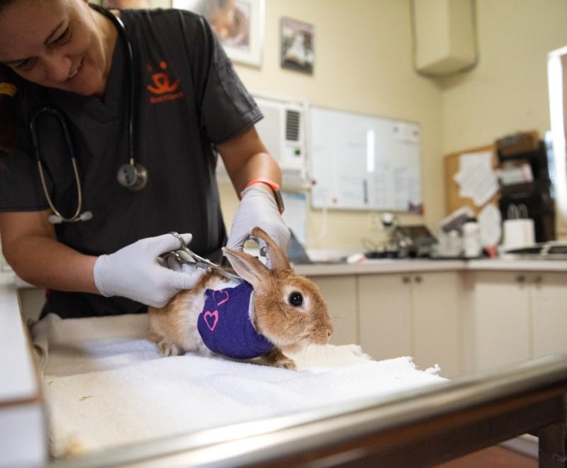 Marilyn Bunroe getting a bandage change