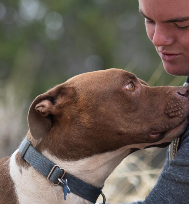 Person kneeling down to hug a dog in a field