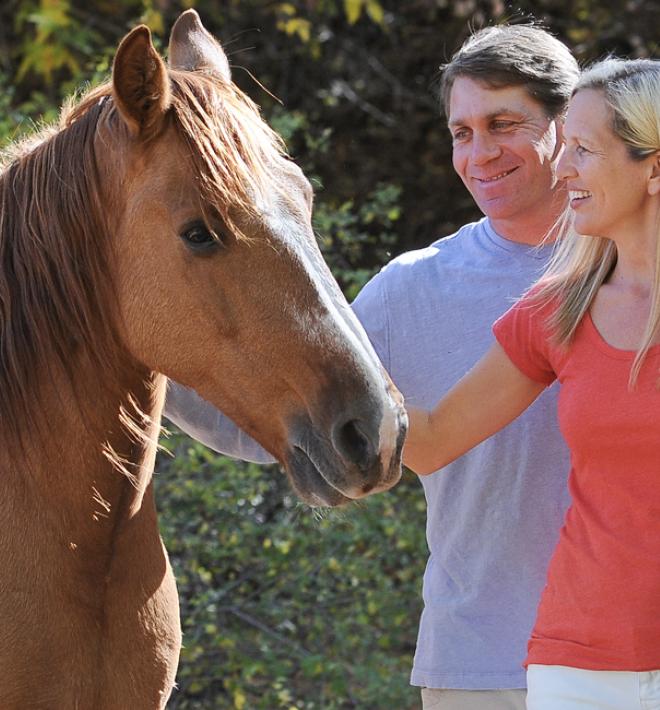 Family volunteering with brown horse