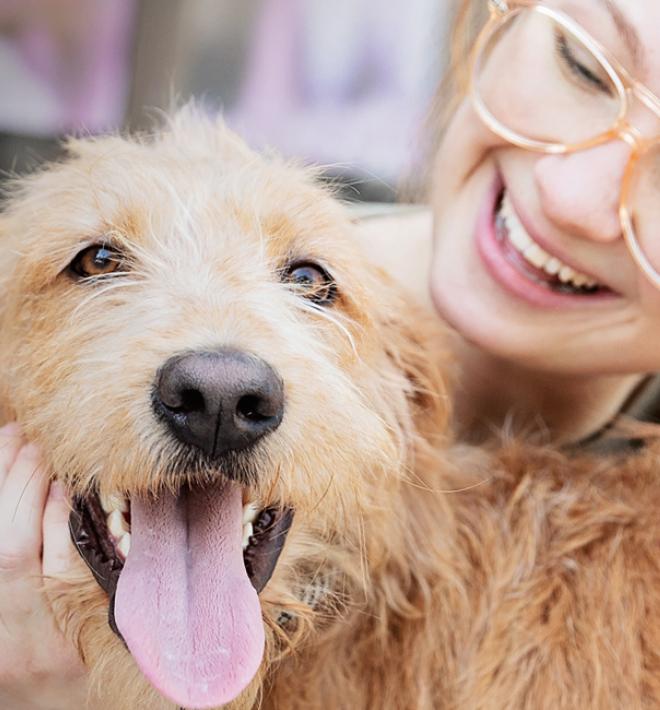 Person smiling at a dog they're petting