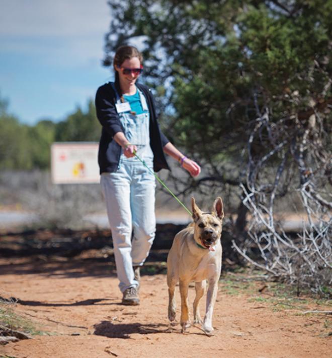 Intern walking dog in canyon