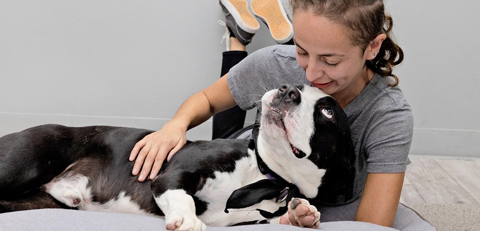 Person lying down next to black and white dog who is looking up at her lovingly