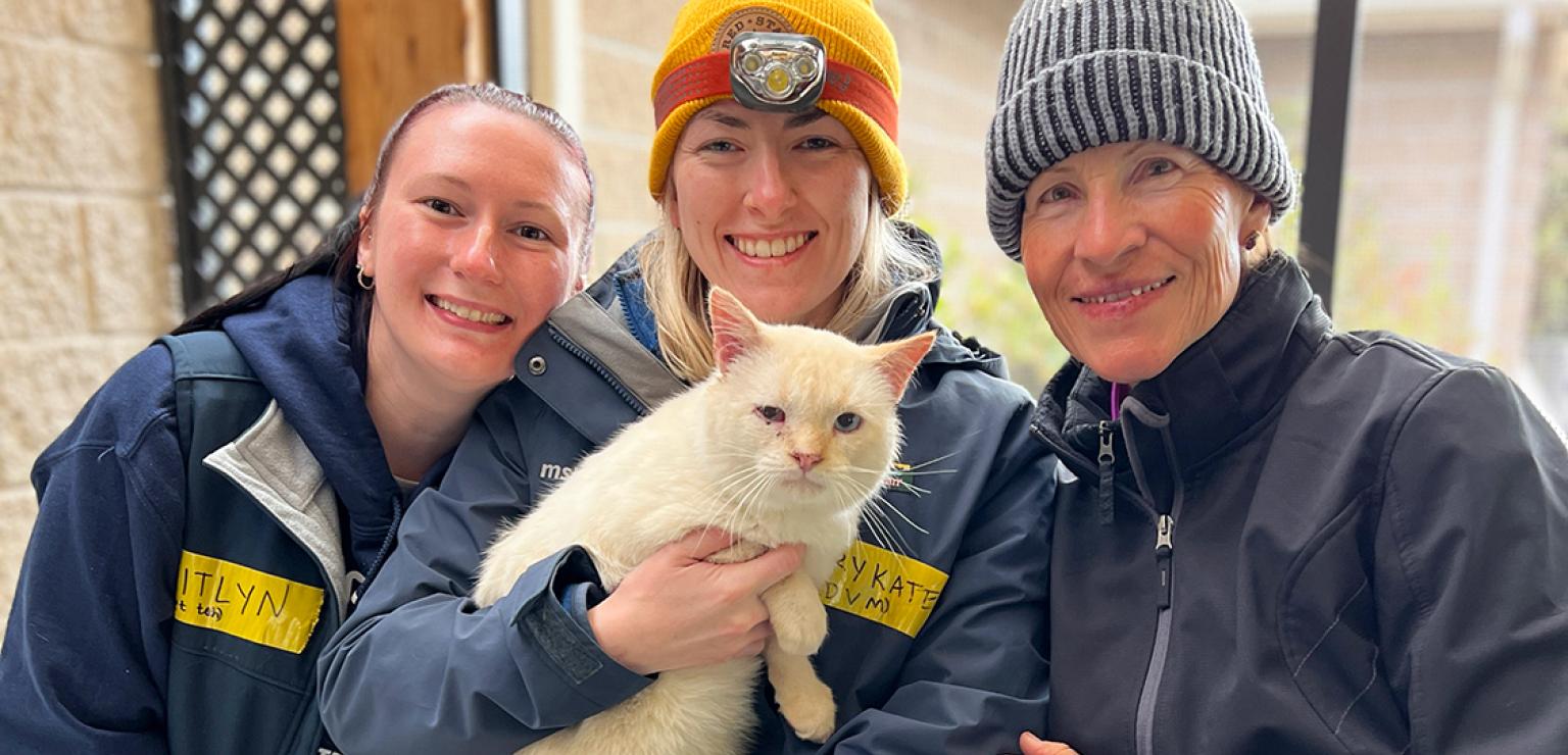 Ricardo Blanco the cat with people from the mobile veterinary clinic following Hurricane Helene