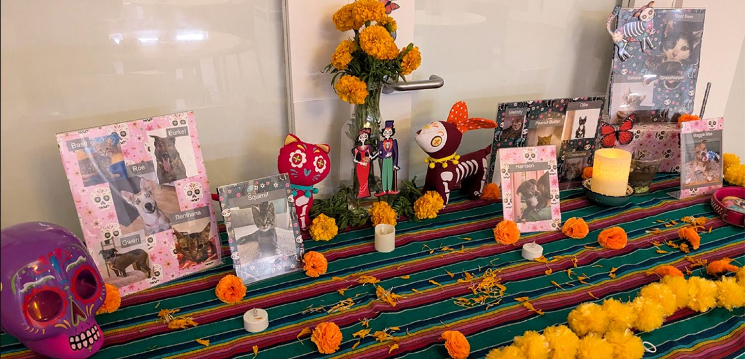 Día de los Muertos alter