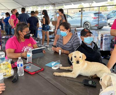 Crowd shot of people at the event with a puppy lying on a table