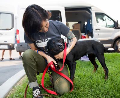 Person outside in front of a transport van with a happy dog