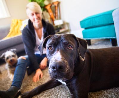 Two dogs and a smiling person sitting together on a living room floor