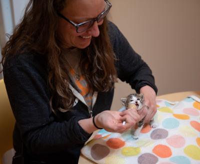 Amy syringe feeding Arabelle the kitten