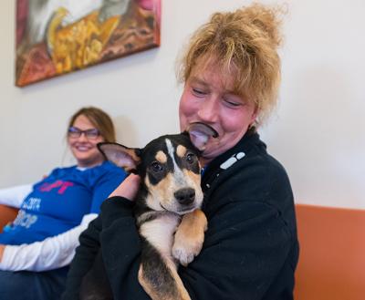 Pair of people sitting on a couch, one holding a tri-colored puppy