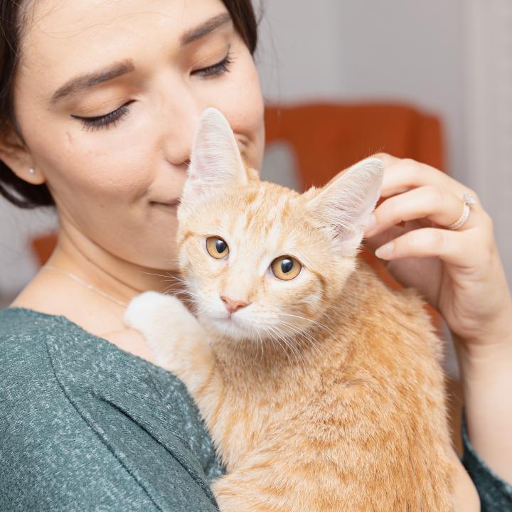 Person holding a cat in their arms