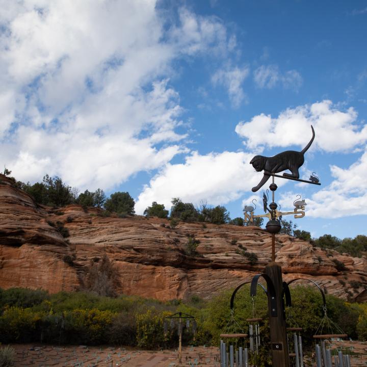 A view of Angles Rest in front of red rock cliffs and blue skies at Best Friends Animal Sanctuary