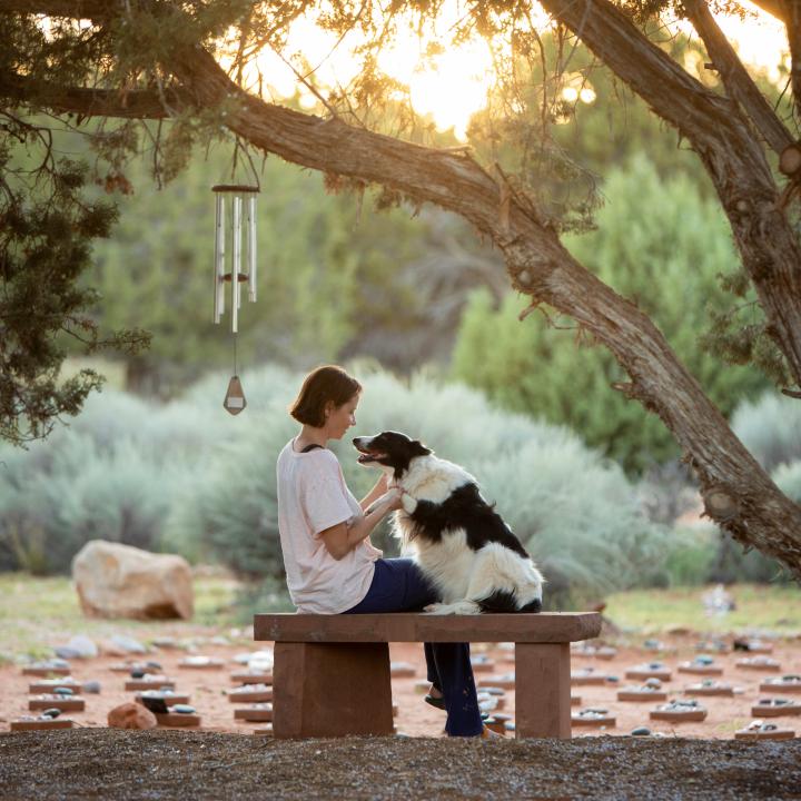 Person sitting with a dog at Angels Overlook