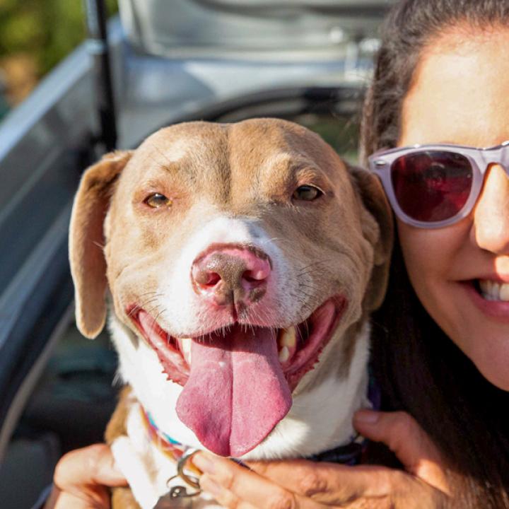 Person sitting next to a dog in a parked car after Southern Utah hike