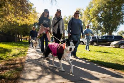 Three people at Strut Your Mutt walking a dog who is wearing a pink jacket