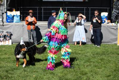 Dog wearing a hat with a person wearing a piñata costume