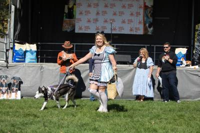 Person dressed up on a costume walking a husky-type dog at Strut Your Mutt