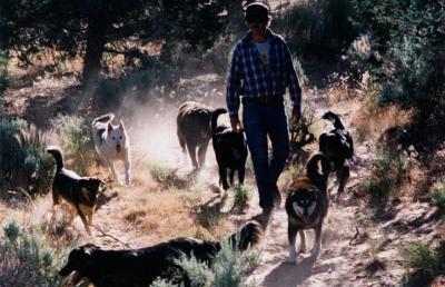 Co-founder Tyson Horne outside with a large group of dogs