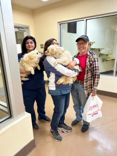 Three people with two of them holding small light-colored dogs, who are nose-to-nose