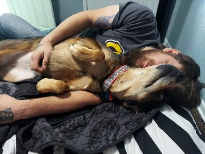 Person lying down snuggling with Abigail the dog