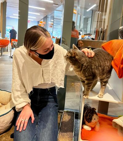 Masked person petting a tabby cat