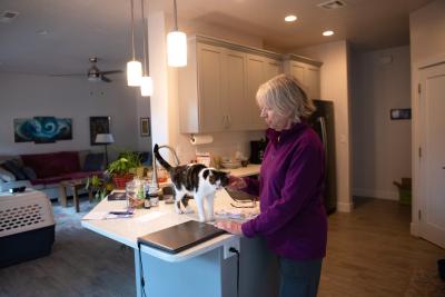 Woodrow the cat on a counter while Jane Brodziak pets him