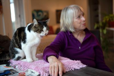 Woodrow the cat yawning next to Jane Brodziak