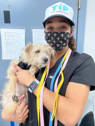 Person wearing a mask and a TIP hat holding a dog