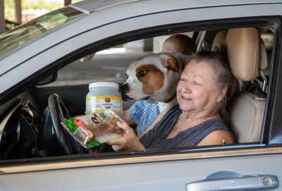 Person with her hands full of pet supplies in a vehicle with a large dog and another person