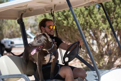 Ben driving Moogan the dog in a golf cart