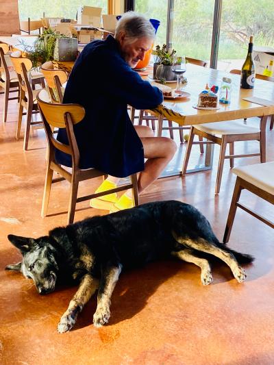 Shadow the dog lying on the floor next to Gregory Castle at a table