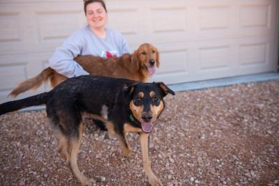 Brook the dog with another dog and a person