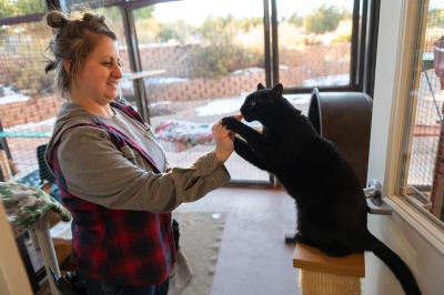 Caregiver giving a treat to Samara the cat who is sitting on the top of a scratcher post