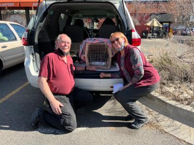 Leslie Girsch and Keith Chesnut putting Zoey Crooks the cat in a carrier into the back of their verhicle