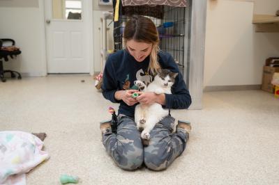 Catey sitting on the floor with Adonis the cat on her lap, putting his boots on