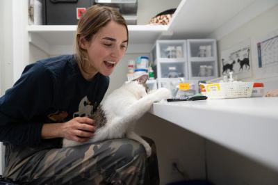 Adonis the cat in Catey's lap, pawing at something on a desk