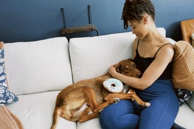 Person hugging Vera the dog who is lying on her lap on a couch