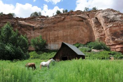 Horses in front of the "Disney barn" in a field of green grass with a red cliff behind them