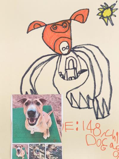 A child's drawing of Chicago the dog with an actual photo of Chicago