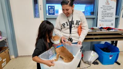 Chico the puppy wearing a cone in a plastic bin being picked up by child and another person