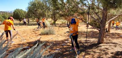 Credit One volunteers raking and working at Angels Rest