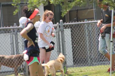 People and dogs in a fenced in play yard