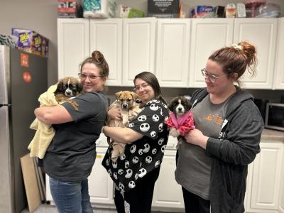 Three of the Best Friends team holding three of the puppies in blankets