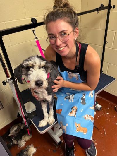 Smiling person grooming a dog