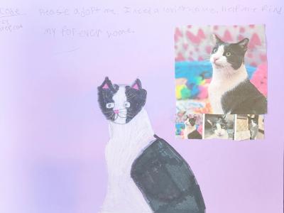 Child's drawing of Diver the cat with an actual photo of Diver