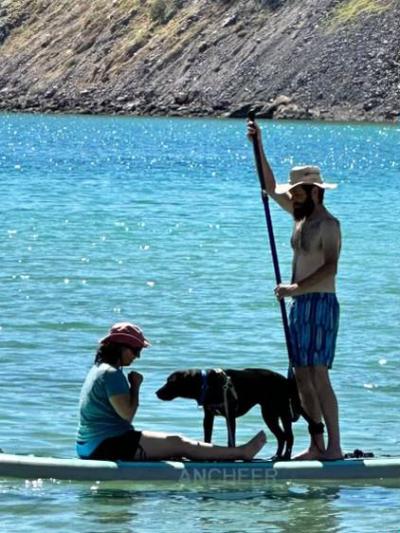 Ken, Danielle, and Minnie the dog all together paddleboarding out on some water